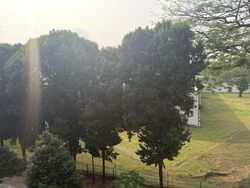 Blk 540 Jurong West Avenue 1 (Jurong West), HDB 4 Rooms #617193811